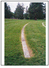Text Box:  