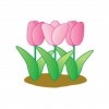 tulip