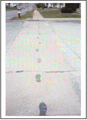 Text Box:  