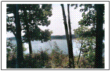 Text Box:  